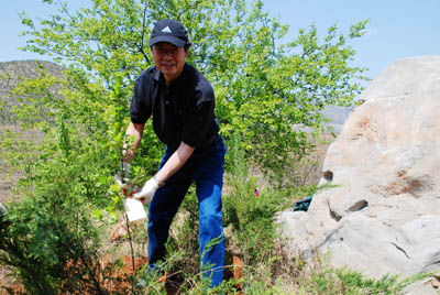 東芝中國總代表栽種郭晶晶贈送樹(shù)苗