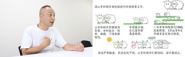 為了加深大家對“山羊和綿羊除草”的理解，制作Ｔ恤衫和看板。